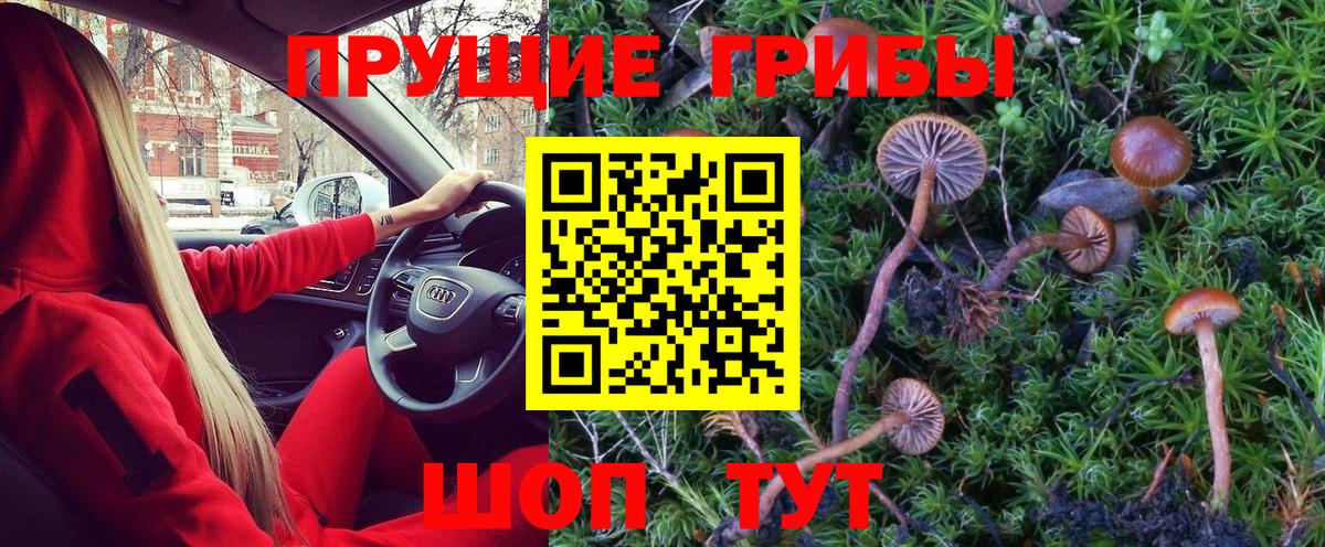 Галлюциногенные грибы Cubensis  Галлюциногенные грибы Cubensis  Сальск  Вход с VPN 